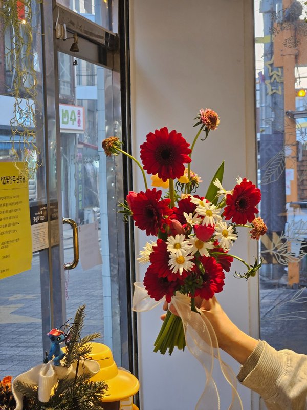 DEWDEW 빨간 거베라 부케